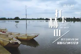 龙虾上市 舌尖美味视频封面