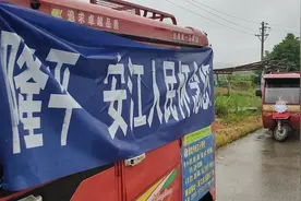 海报直击丨重走杂交水稻诞生地：试验田里，依旧翠绿一片图片