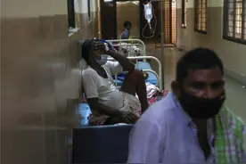 印度发现罕见致命真菌症病例 患者同时感染黑白黄三种真菌图片