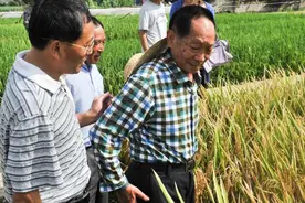 来自世界各国的学者、官员表达对袁隆平的哀悼与怀念视频封面