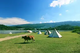 周末假期精品自驾游，相约上林遇见美好时光！图片