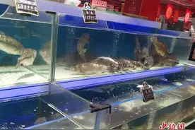 鱼价又涨啦！够朋友就请我吃鱼吧……图片