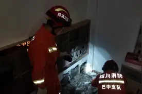 多视角 | 巴中一居民家中为何频现大蛇？遇到蛇、被蛇咬了怎么办？图片