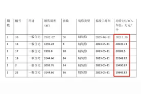 南京房价“谷底”上新房，均价2万/㎡，装修交付图片