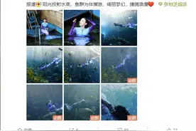 41岁张柏芝首次解锁美人鱼造型 水下潜游与鱼群为伴图片