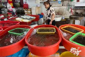 鲫鱼、鳊鱼、包头鱼……今年淡水鱼集体涨价？别急，杭州人爱吃的这几样水产到了最便宜的时候图片