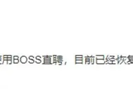 BOSS直聘网站崩了，网友评论：打工人太多了图片
