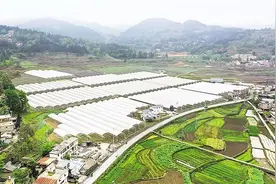 「贵阳大数据发展报告」清镇市：数字赋能 产业进入快车道图片