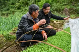 初心之路｜遵义检察官谢佳清驻村扶贫，带领村民凿出“天路”图片