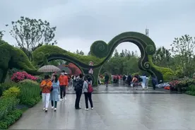 “天花乱坠，地涌金莲”，云南园的这种神秘之花，有“百日开花花不败”之称｜魔都花语⑫图片