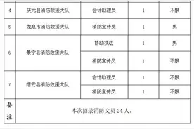 24名！丽水市消防救援支队招聘消防文员公告图片
