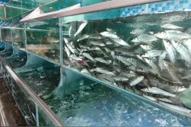 市场解码丨“鱼拜拜”！淡水鱼价格上涨势头不减，你家餐桌上还有鱼吗？图片