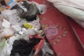 活久见！哈尔滨一女子将出租屋变垃圾场，房东上门后躲衣柜，网友：老鼠进屋都要开导航图片