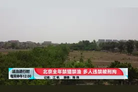 北京一男子竟然张开十米大网捕猎野生鸟类，森林公安出手了图片