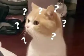 数学也可以很武侠？山东一老师将高考秘籍画成漫画，学生：出书吧图片