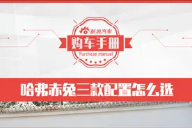 主推1.5T黄金兔 哈弗赤兔的购车手册来了图片