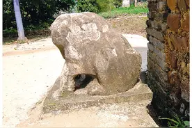 把朋友称为“狗肉”的全中国独此一地 桂林人为何如此爱狗？图片