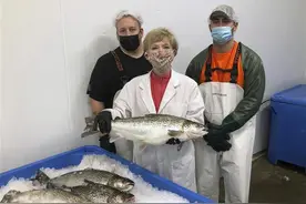 美国转基因三文鱼将上市被批“科学怪鱼”，美国食品监管局坚称：十分安全图片