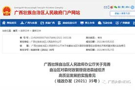 最高一次性奖励5000万元！广西出台激励政策支持县域经济发展图片