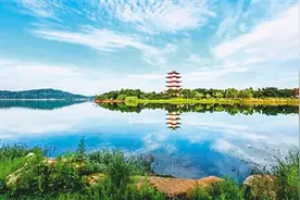 一尾游过千年之鱼图片