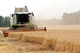 河南8500多万亩小麦将迎来大规模机收图片