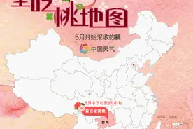 云南桃子价格走低，桃子1元1公斤图片