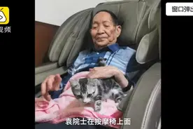 袁花花经常陪袁隆平听报告，试验田里捉老鼠，要躺在离袁老最近的地方图片