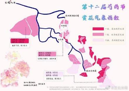 芍药几点开花时间（和林芍药6月5日左右迎来最佳观赏期）