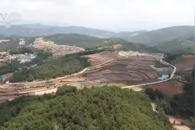 云南15头北迁野象临近昆明 专家给出方案“劝返”象群图片
