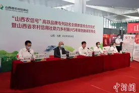 山西农信社470亿元信贷资金助力乡村振兴图片