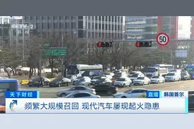 起火事故频发！现代、起亚汽车大规模召回！涉及车型→图片