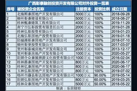 孙宏斌的西南战事图片