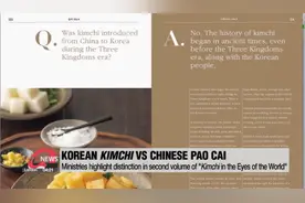 韩国官方出版泡菜宣传书：介绍中韩泡菜区别图片