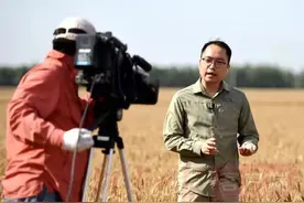 连续三年！中央电视台现场直播新蔡三夏麦收图片
