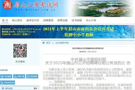 四川聘任制公务员第一高薪！眉山东坡区50万年薪招金融风险管理师图片