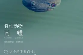 「云南生物多样性数字化百科图谱」脊椎动物·南鳢：这个“杀手”有点冷图片