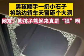 男孩顺手一扔小石子，将路边汽车砸出个大洞，车主无奈撑伞避雨图片