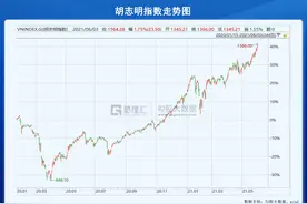 一只基金淘金越南股市，跑赢国内90%同行图片