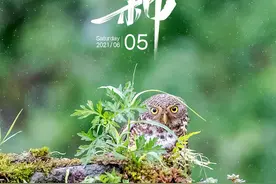 报节气｜收获美好 忙而不茫图片