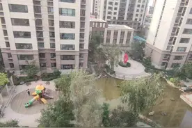 物业无奈，住户苦恼，小区闹蛙谁有招？图片