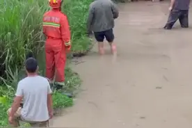 湖南500斤大肥猪掉入水塘，消防花了1个多小时救出！网友：吊了次威亚，不亏图片
