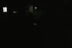 视频｜半夜蛙鸣让人愁图片