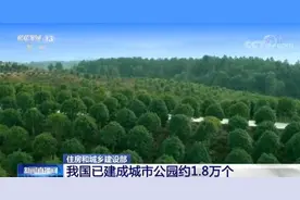 我国已建成城市公园约1.8万个 城市建成区绿地面积较2012年前增加近50%图片