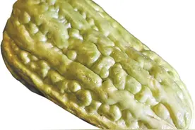 炎夏“君子菜”个性又包容图片