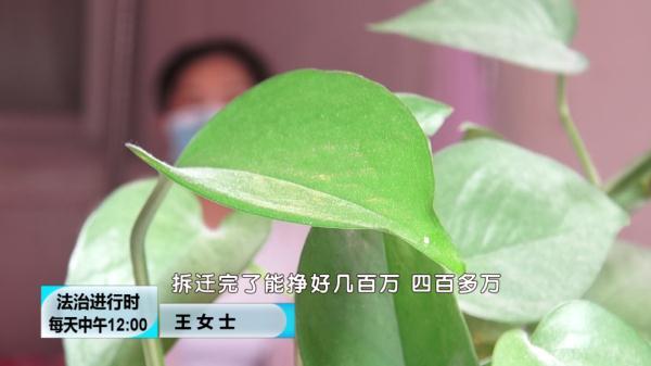 北京奇案：至少9位女孩恋上同一男子，结局是“财色两空”
