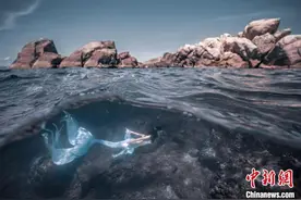 与海底生物伴游的新职业——“美人鱼”在中国悄然兴起图片