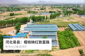 河北易县：樱桃映红致富路视频封面