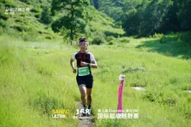他们为什么跑个不停图片