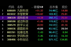 鸿蒙概念走势分化，润和软件再翻红，机构：警惕头部高估值个股风险释放图片