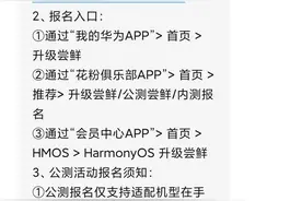 怎样玩转火爆的鸿蒙？升级使用攻略来了图片